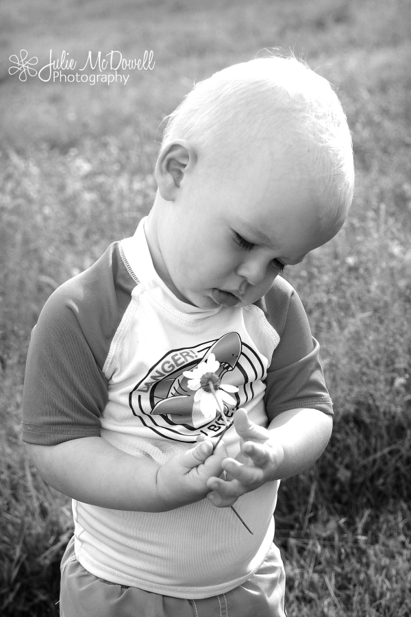 black and white picture of little boy holding a broken daisy looking sad.